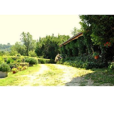 Le Acacie Felici Guest House Terni Exterior photo