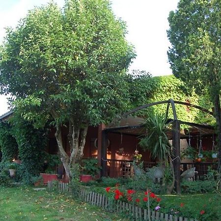 Le Acacie Felici Guest House Terni Exterior photo