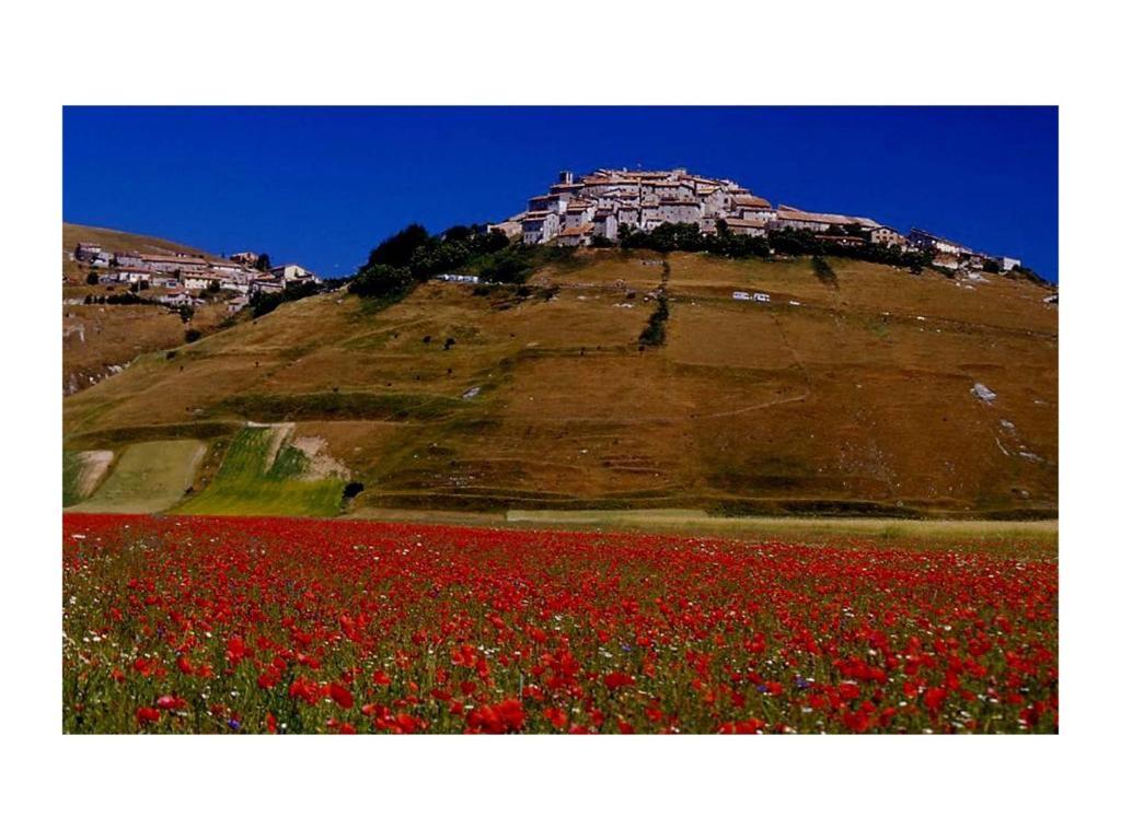 Le Acacie Felici Guest House Terni Exterior photo